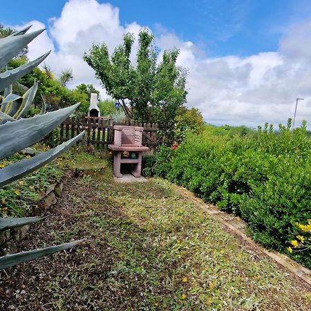 Appartamento A Casa Di Daniele Porto Potenza Picena Esterno foto